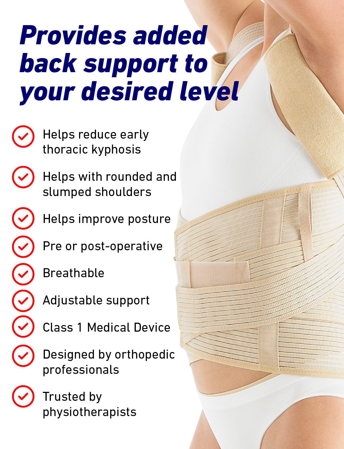 Dorsolumbar Support/Brace
