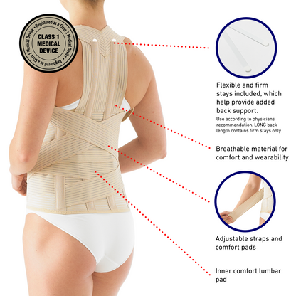 Dorsolumbar Support/Brace